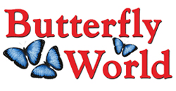 Butterfly World