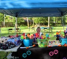 img_9026_32673672767_o