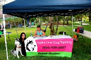 img_9031_47616249071_o