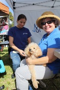 img_9043_32673675537_o