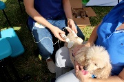 img_9044_40649788483_o