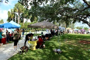 img_9050_32673670507_o