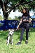 img_9065_40649787723_o