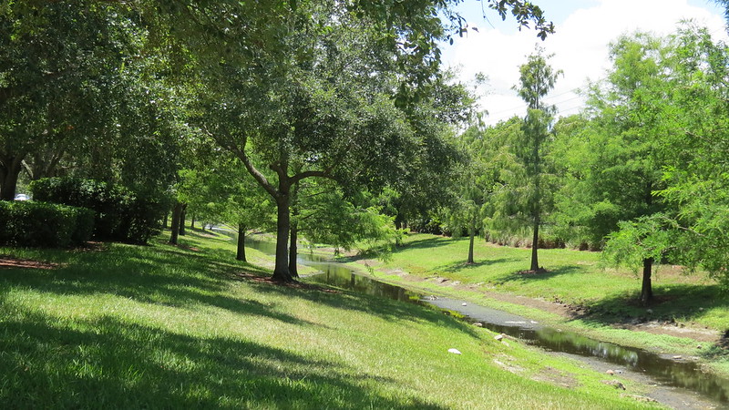 Coral Tree Greenway Coral Tree Greenway