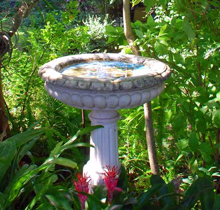 Bird Bath