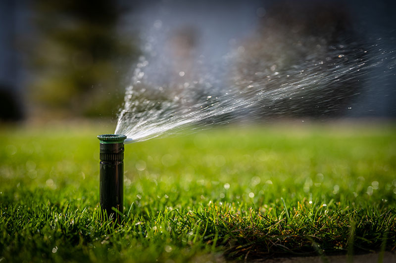 Tree Care Irrigation Tree Care Irrigation