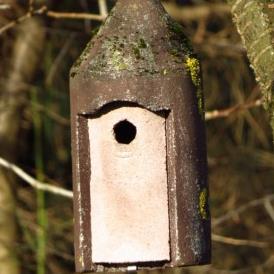 nestingbox nesting box